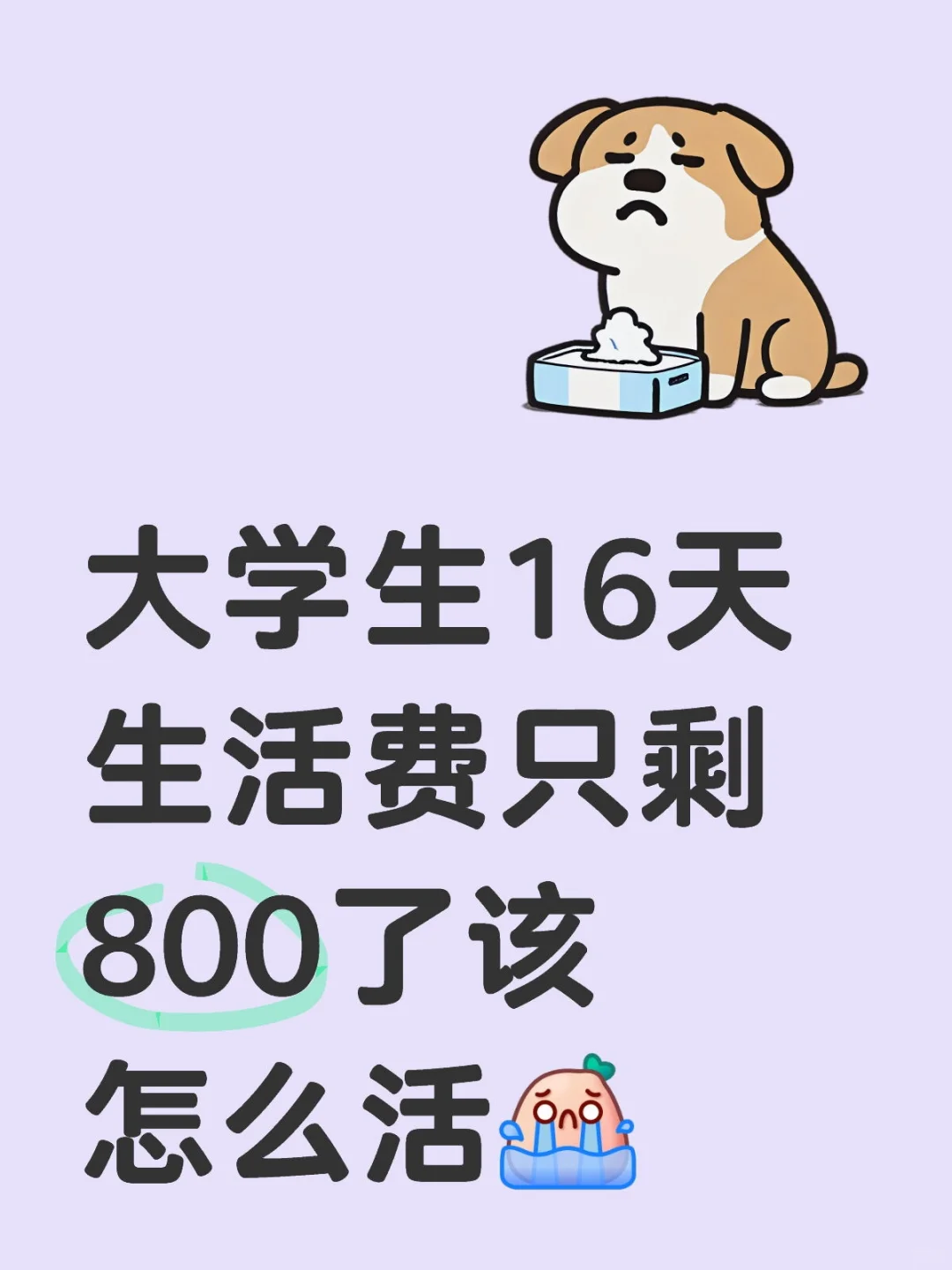 大学生16天生活费只剩800了该怎么活