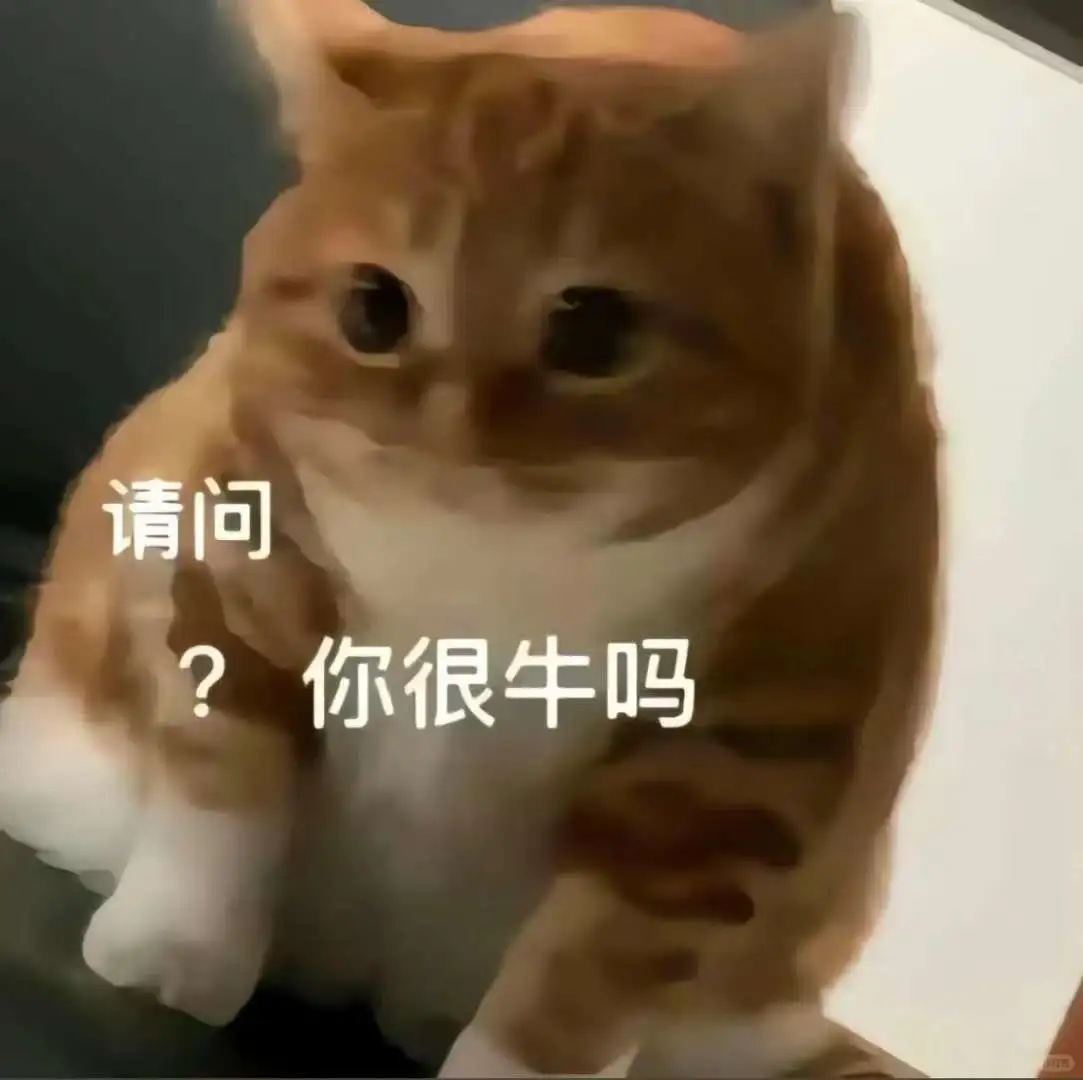 坏坏的小猫表情包！
