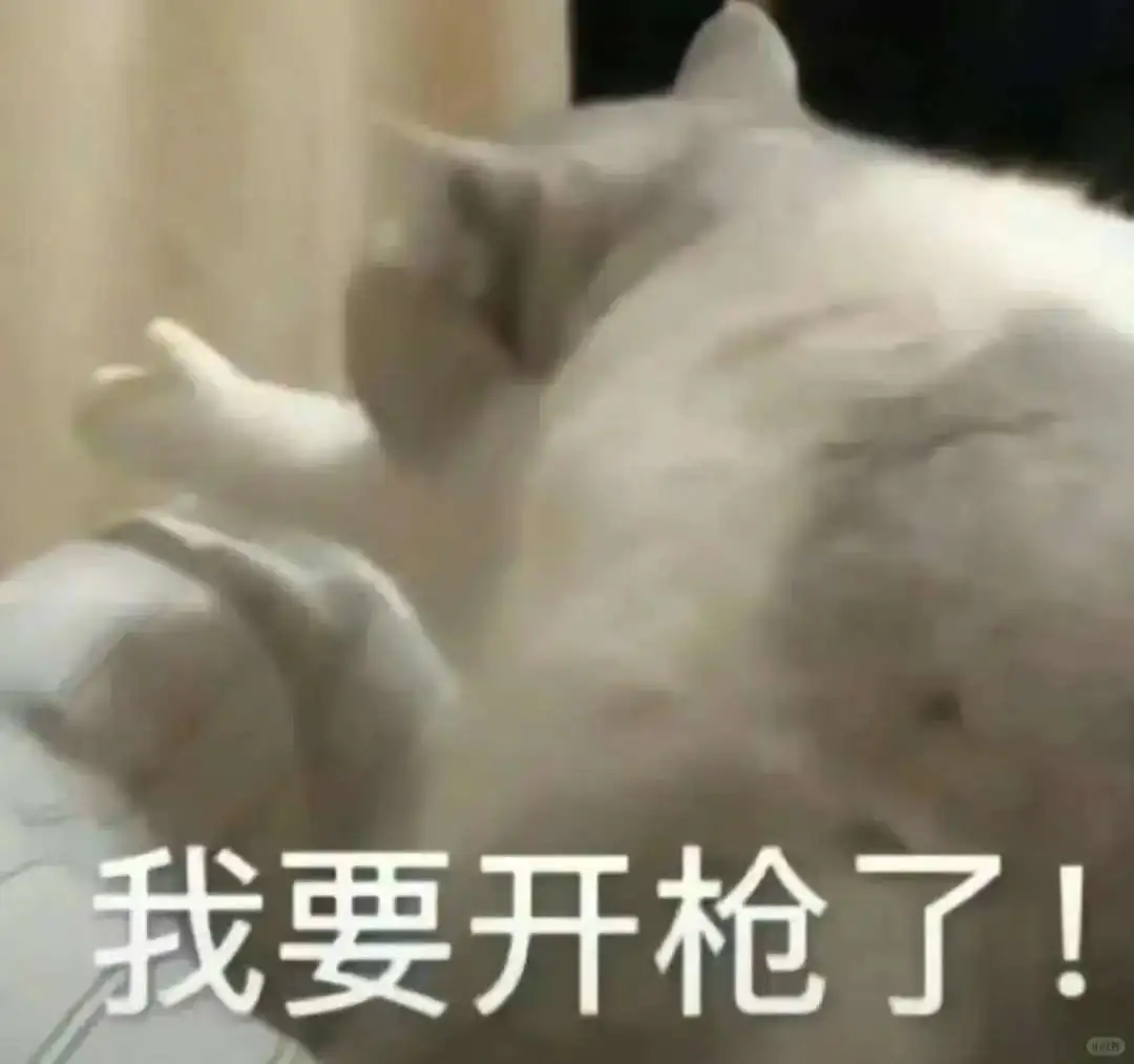 坏坏的小猫表情包！