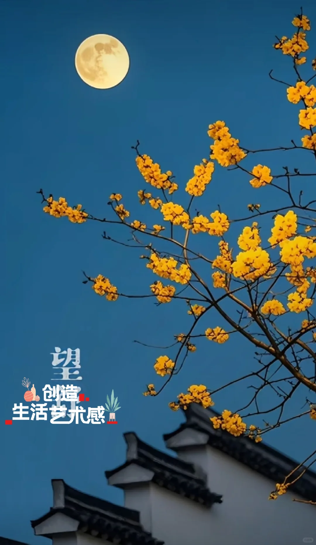 咋样美不！！！