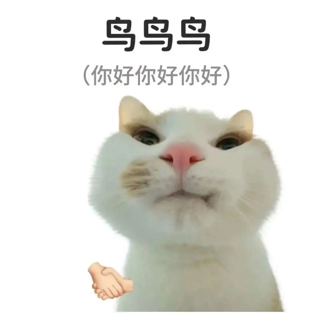 坏坏的小猫表情包！