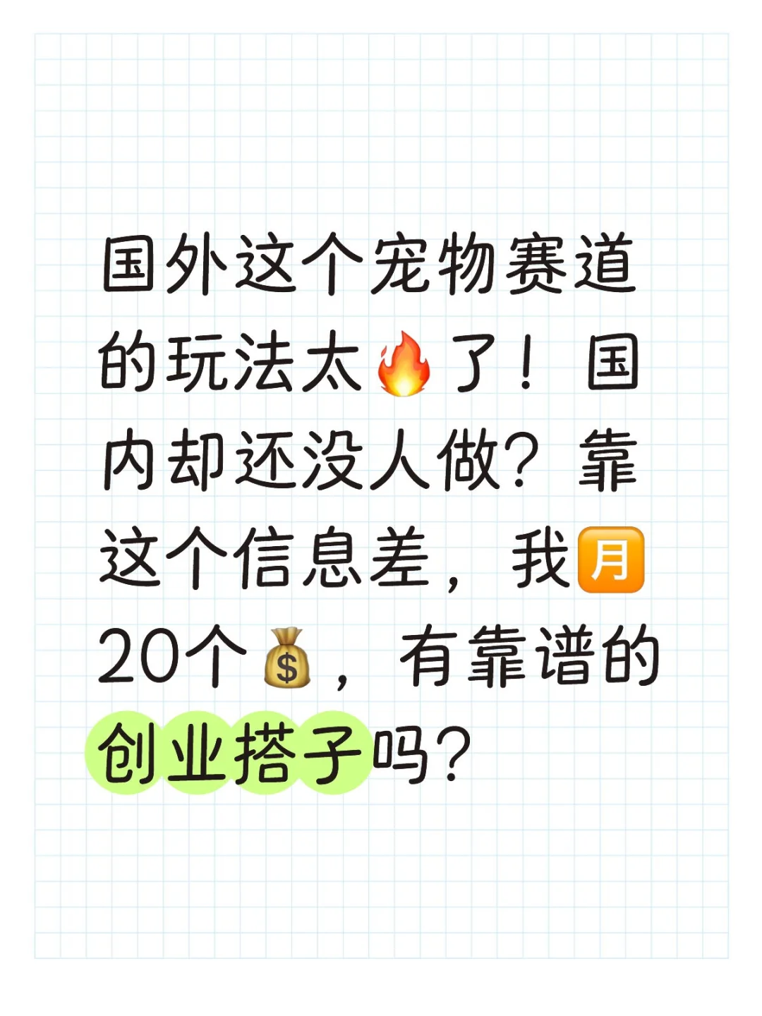 从国外学回来的小而美的宠物赛道玩法
