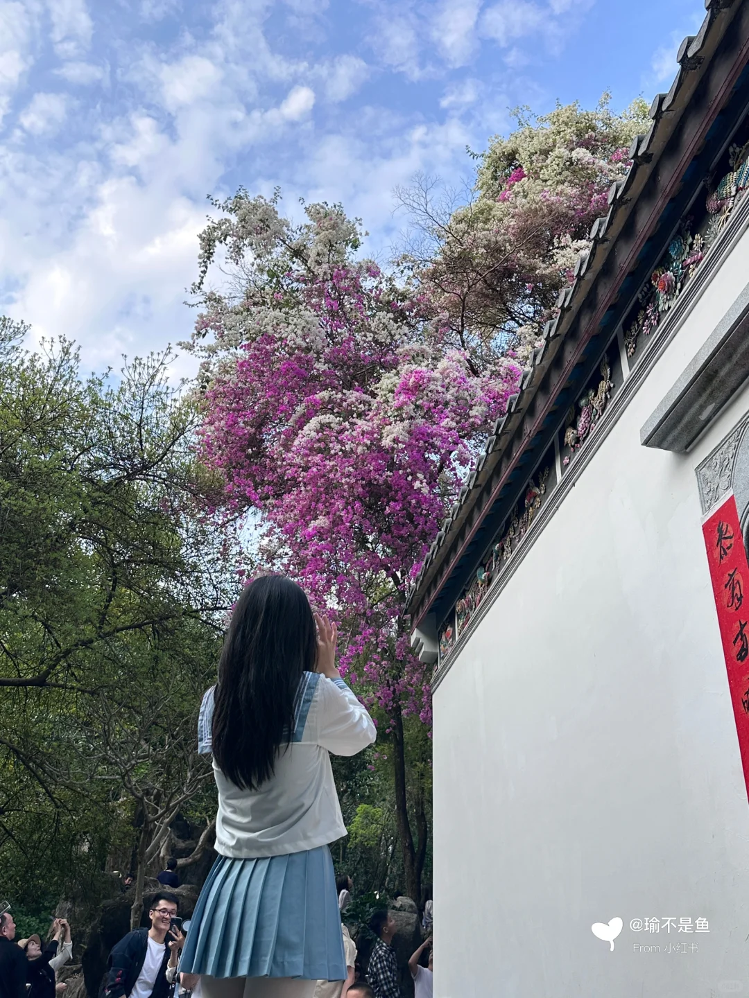 广东的春天来了嘛？不，可能已经过了