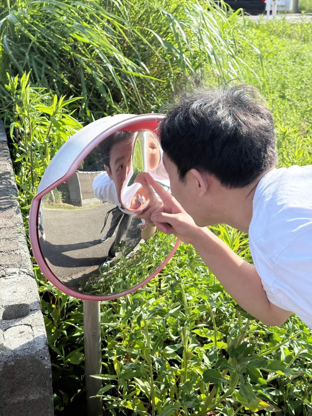 小網代の森🌳