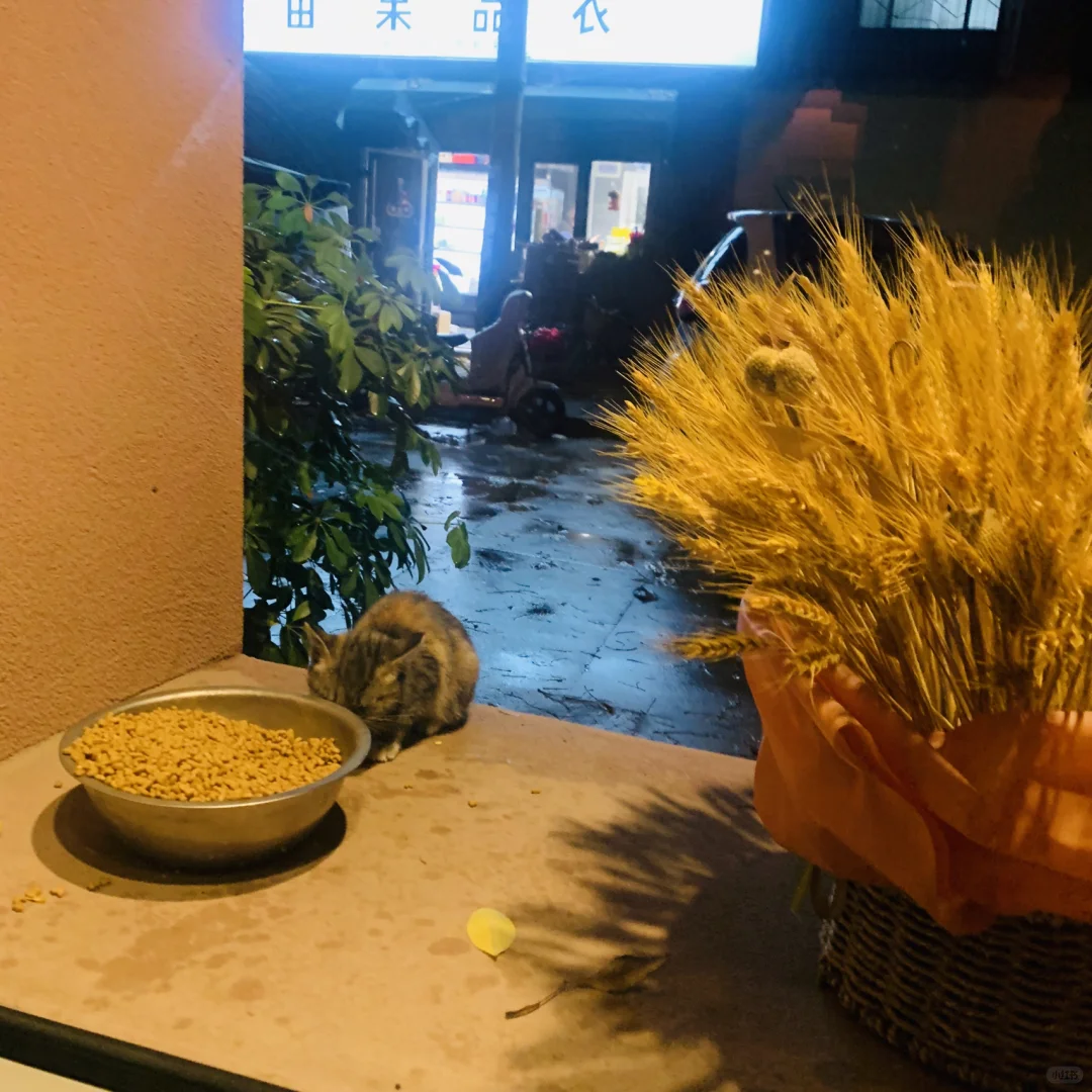 初冬的任意门