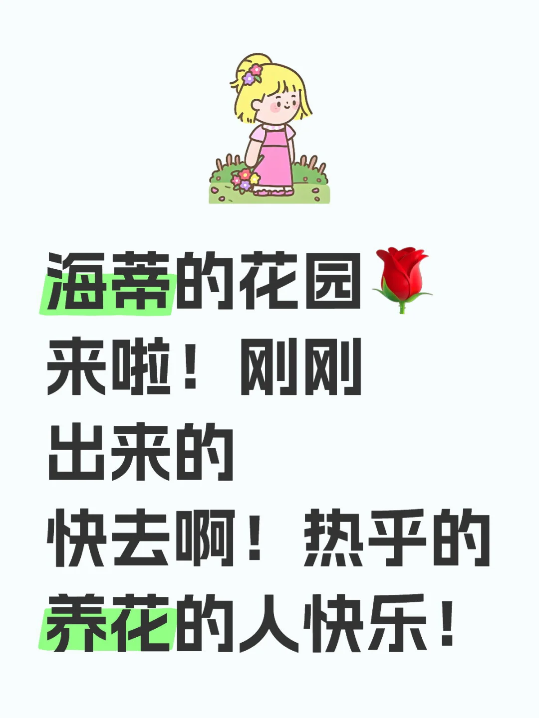 海蒂的花园！养花人的快乐来了！