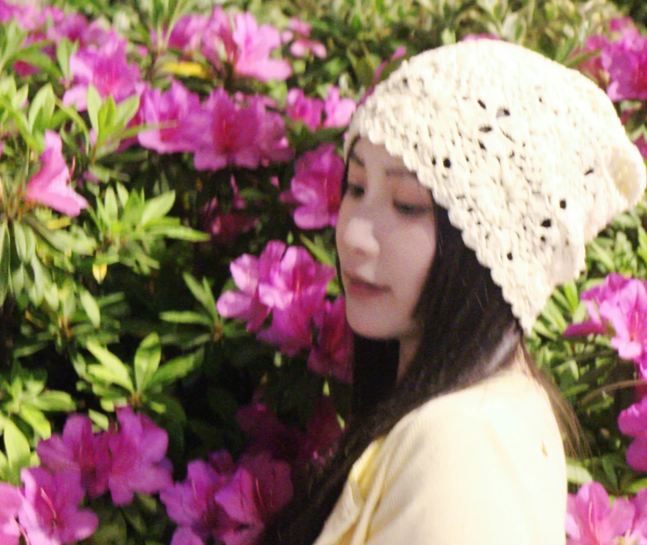 交换春天