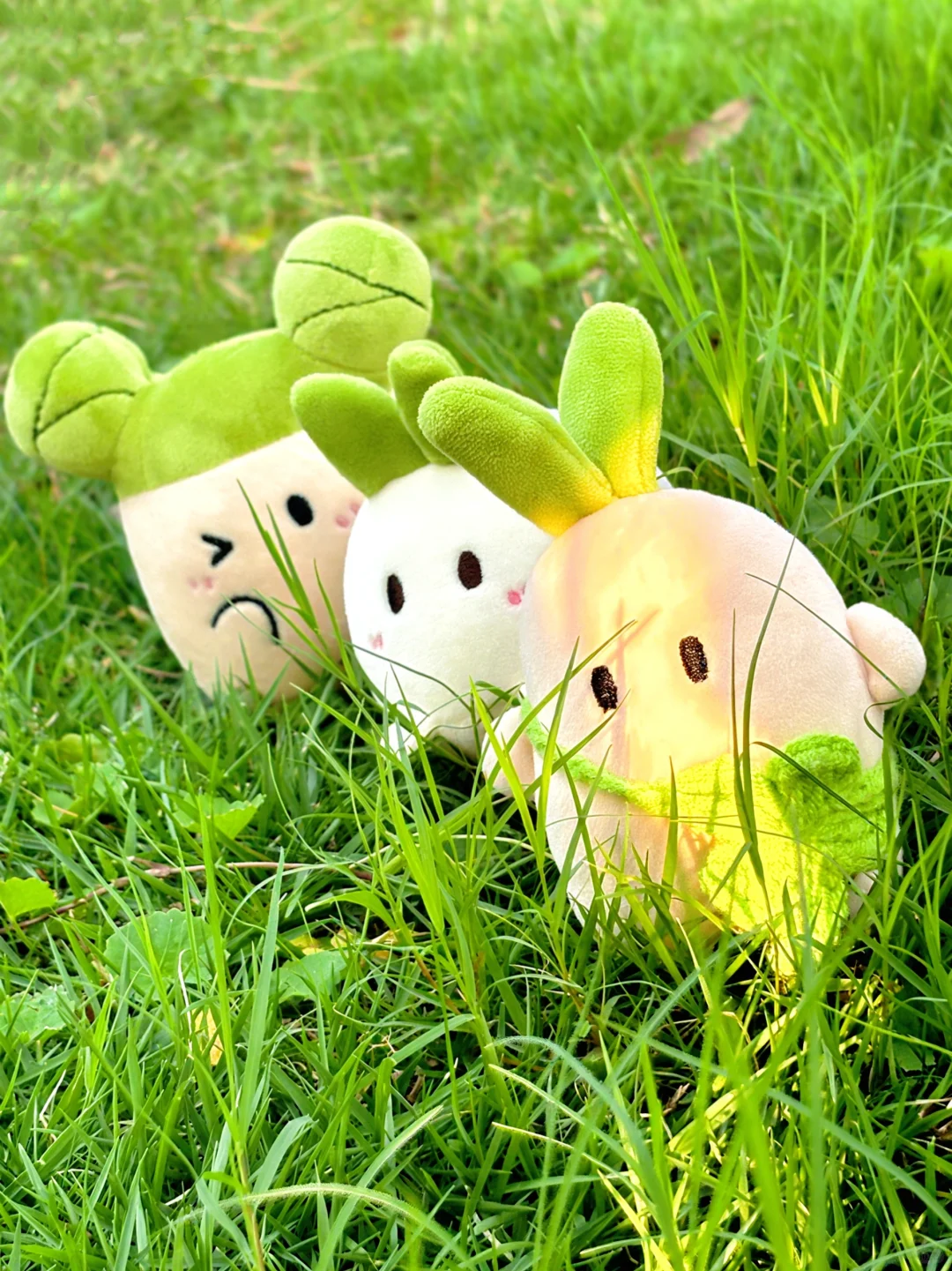 GoGoGo出发萝～