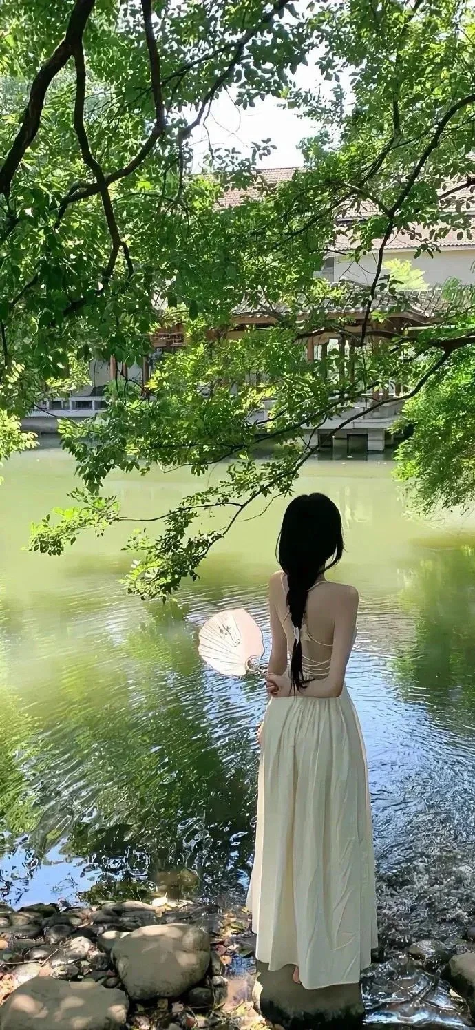 壁纸share|🏕️绿色养颜壁纸~