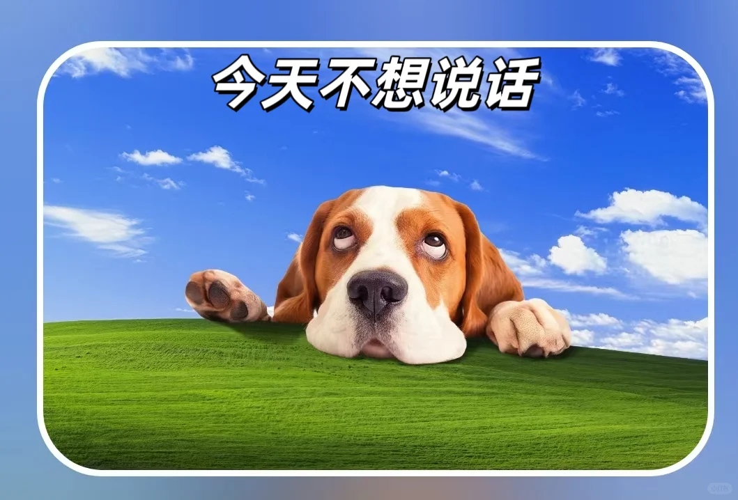 今天的心情，像只不想说话的小狗🐶