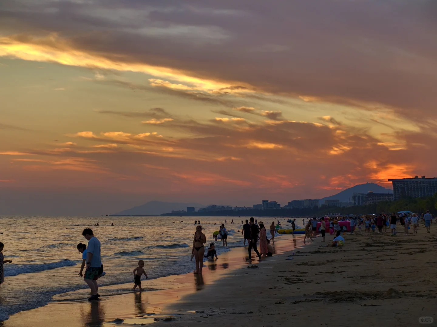 海岛日记⛱️/又是活人一枚了