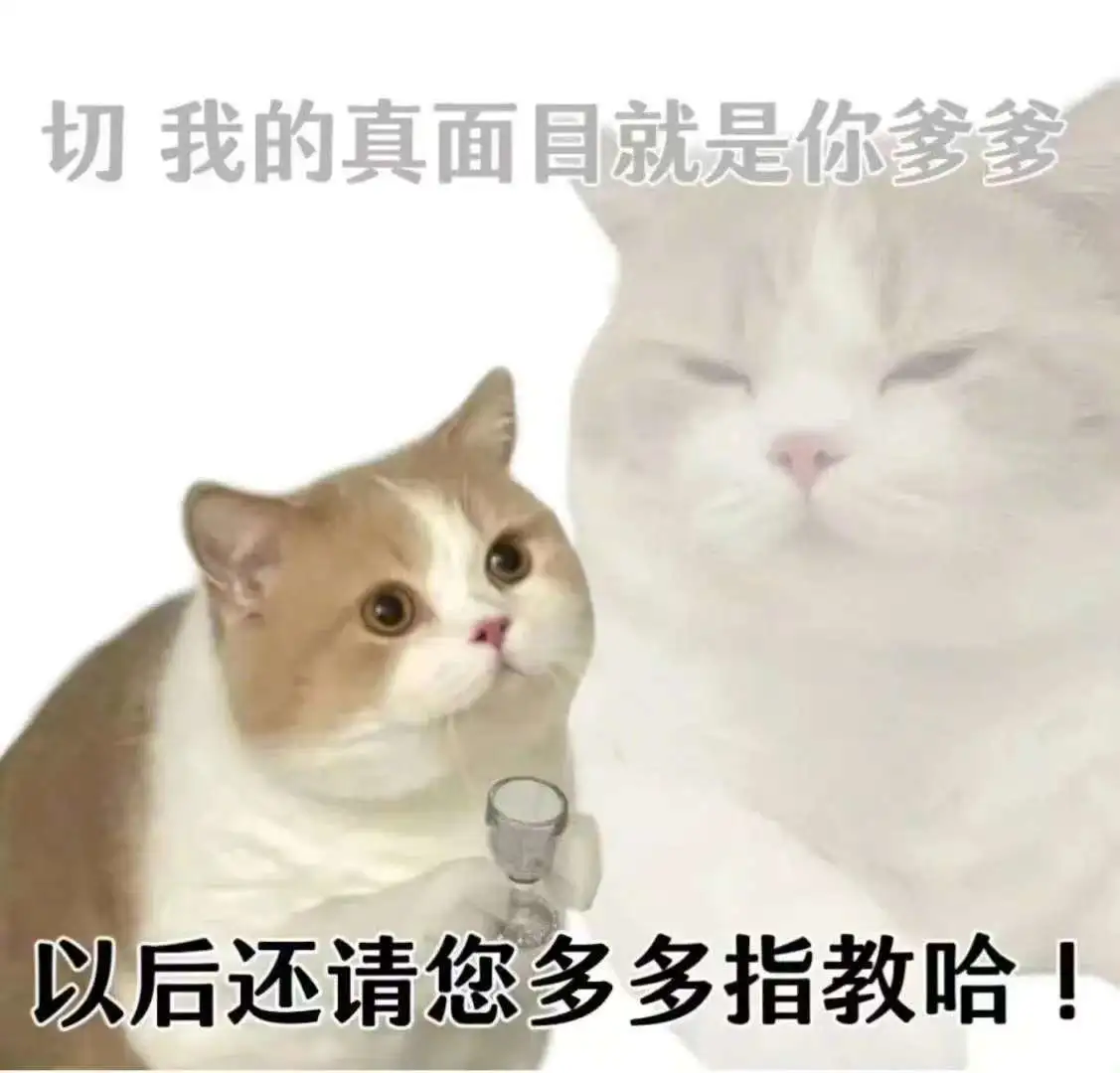 坏坏的小猫表情包！