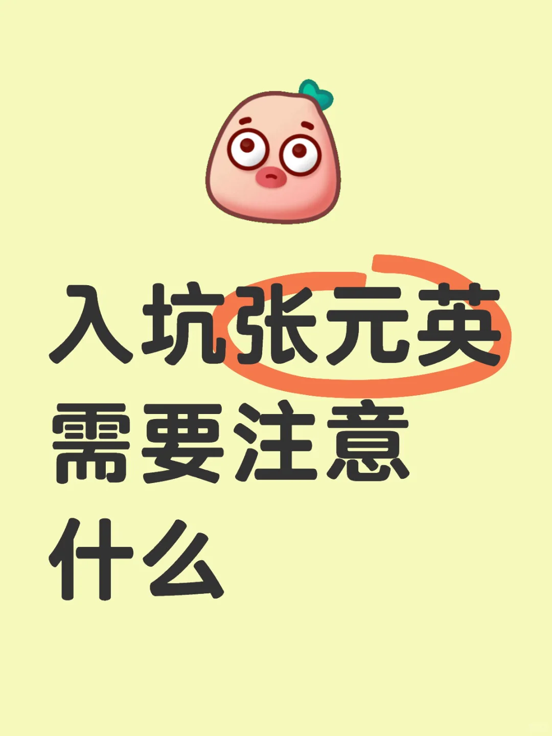 入坑张元英需要注意什么
