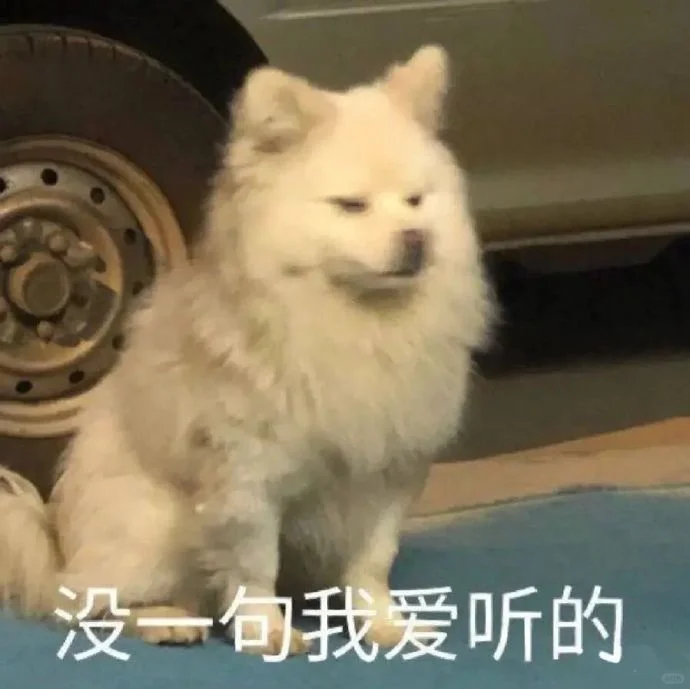 一些比较喜欢的表情包
