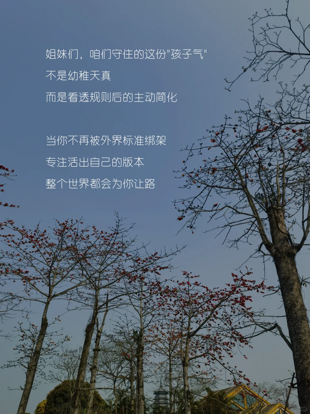 你得把这份“高级感”的孩子气刻进骨子里