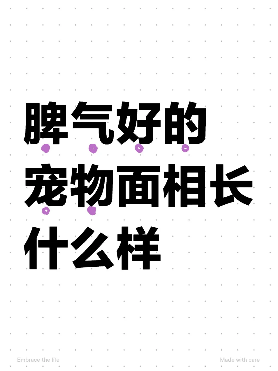 脾气好的宠物面相长什么样