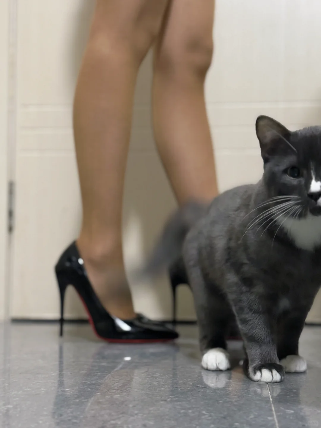 小猫也喜欢的古铜色复古袜