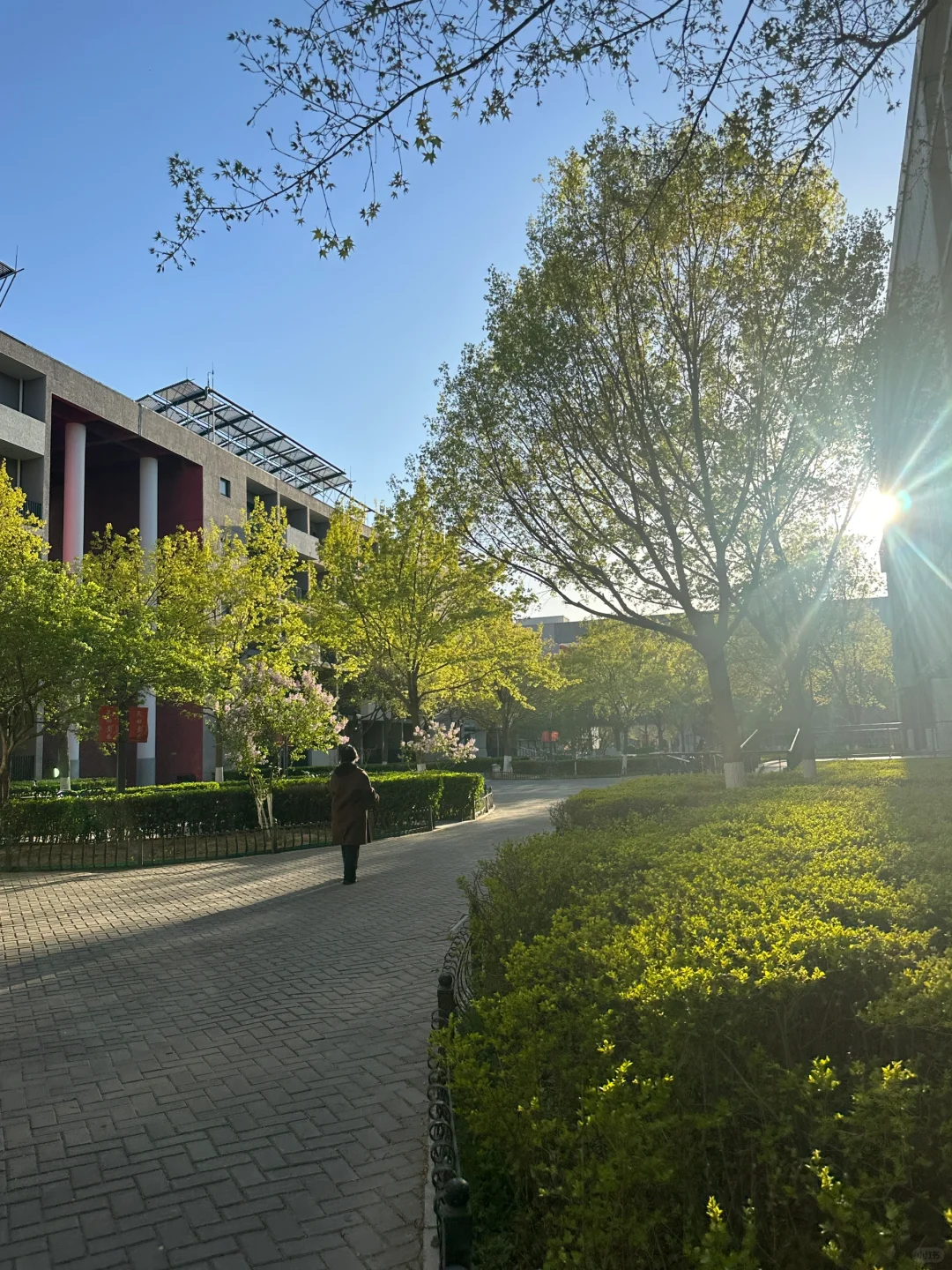 上学🎒快快到春天