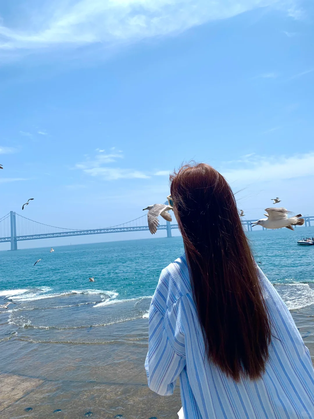 🌊 𓂂𓇼𓈒🐚 *♡