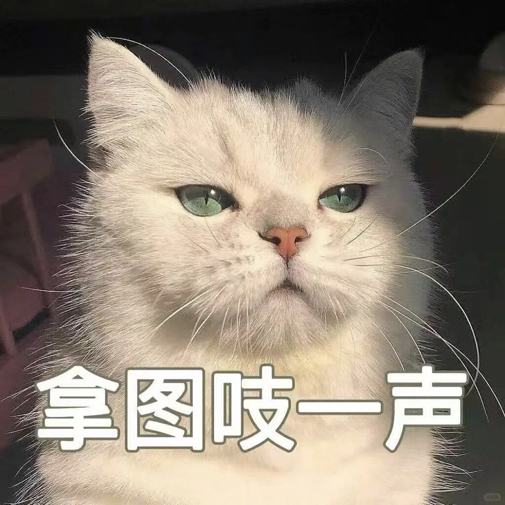 值得长期不换的头像、女生头像、超火的美女