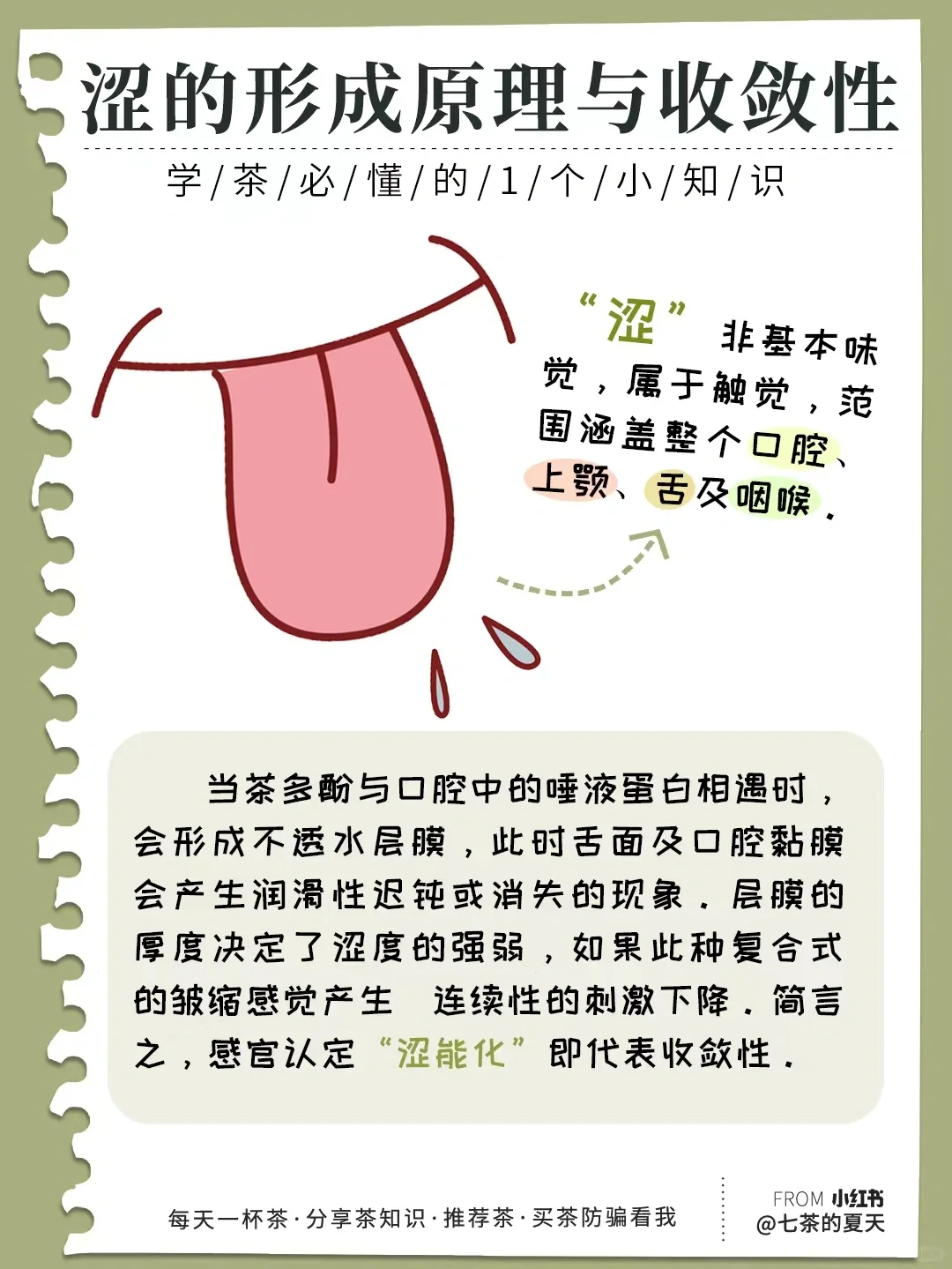 为什么喝茶时会感觉“涩”‼️一张图搞懂✅