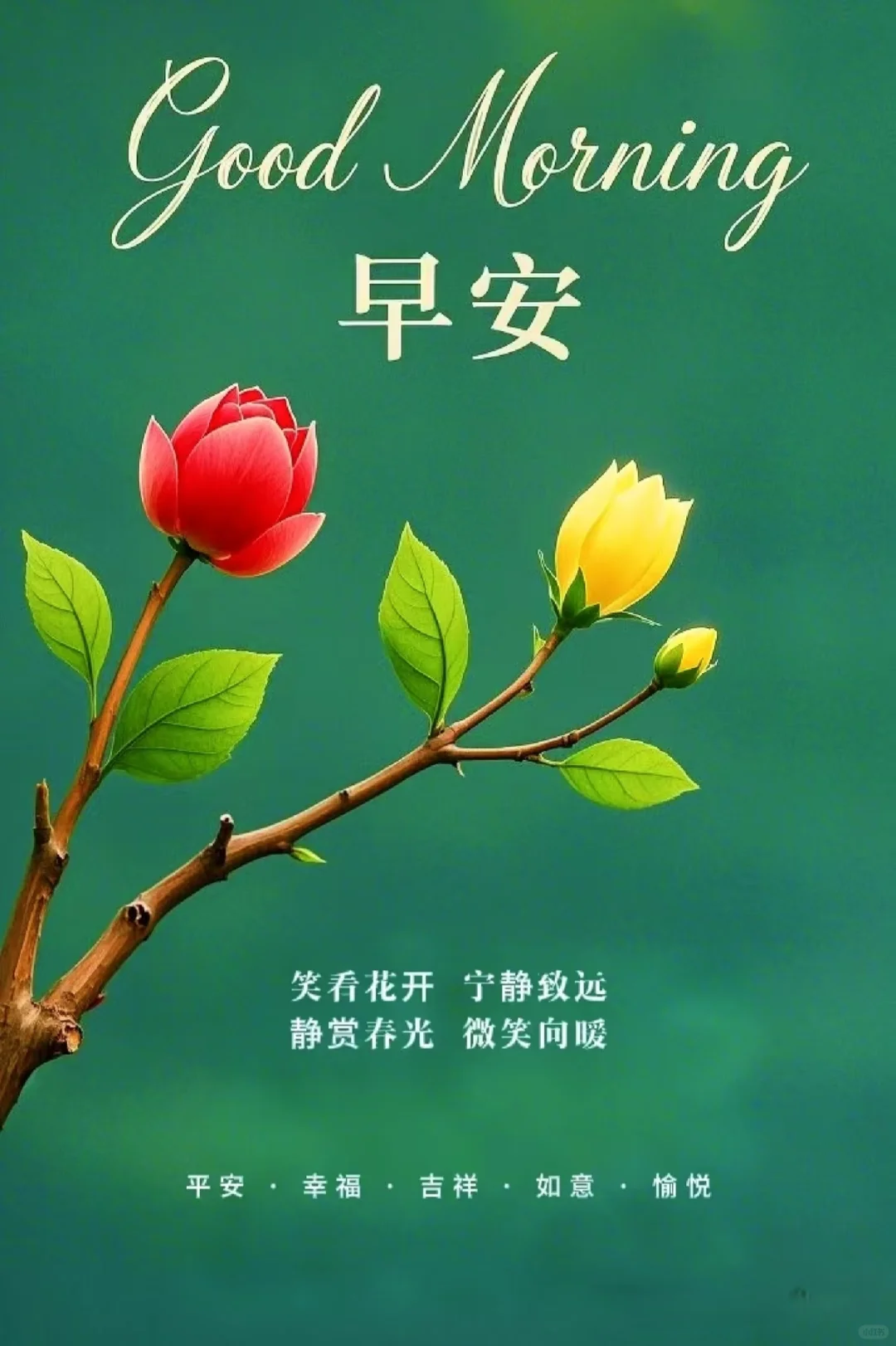 高清美图呀：用这些美图开始新的一天