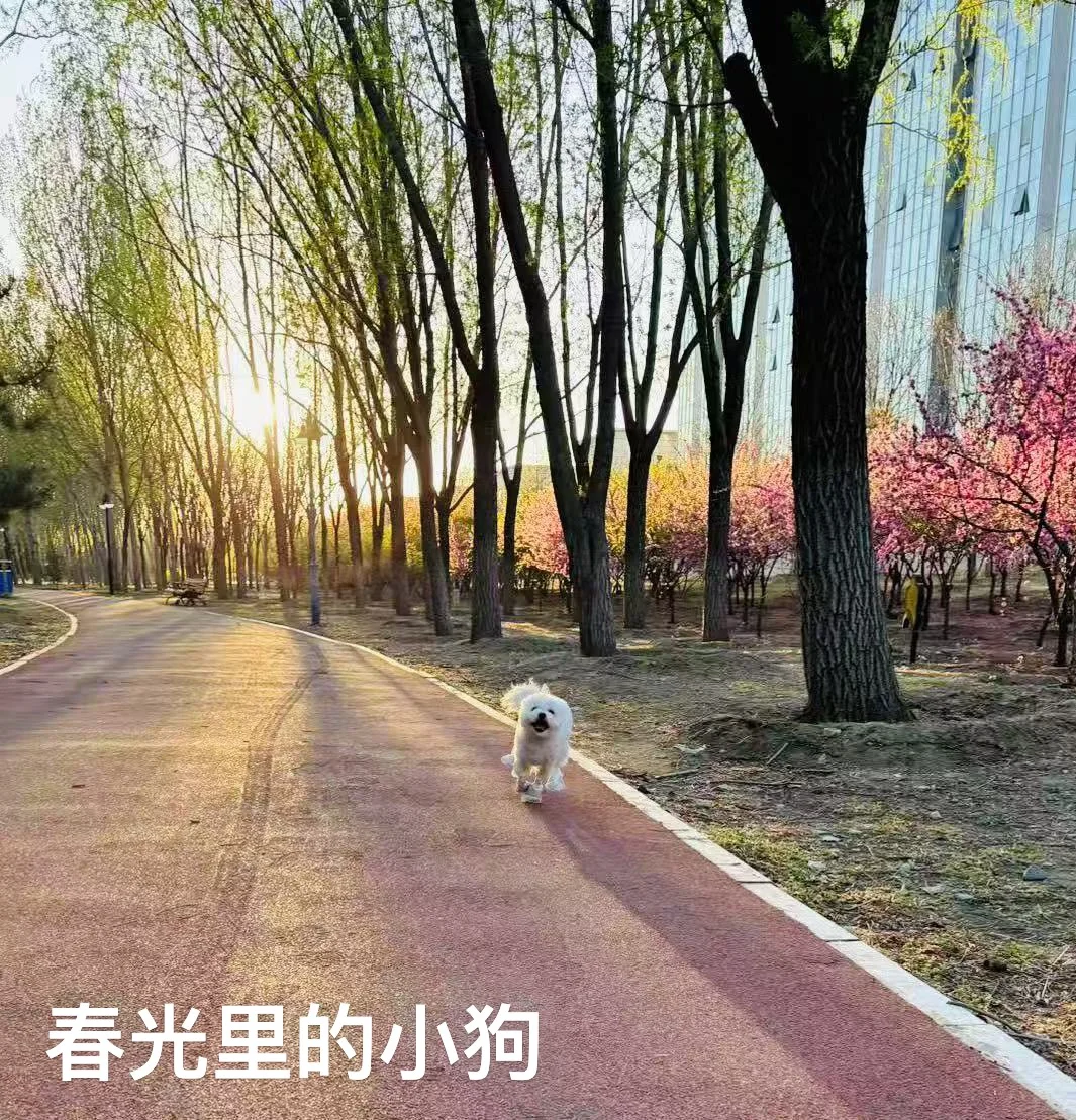 在春天里不停耕耘