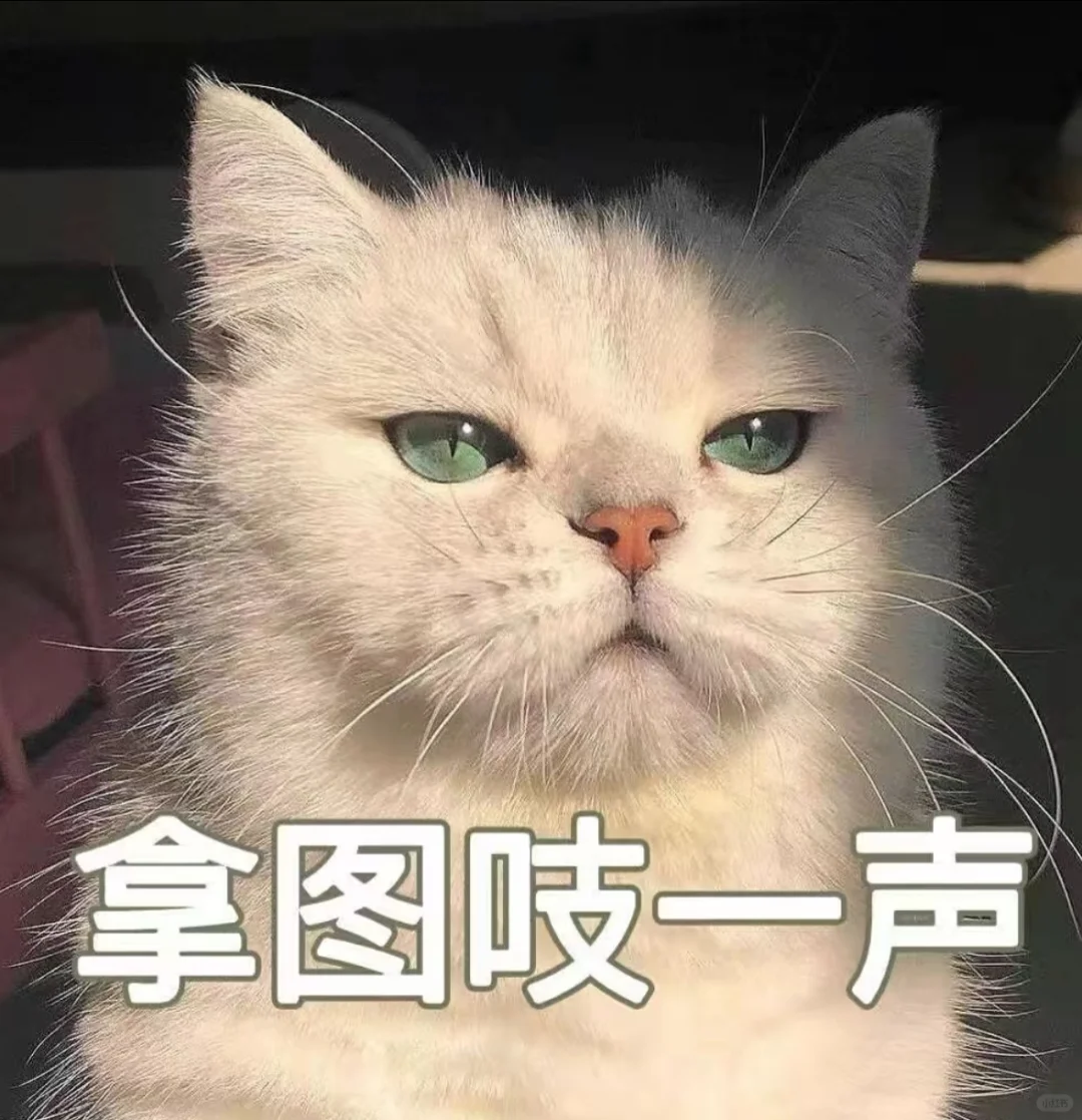 适合stp的手机，平板壁纸～