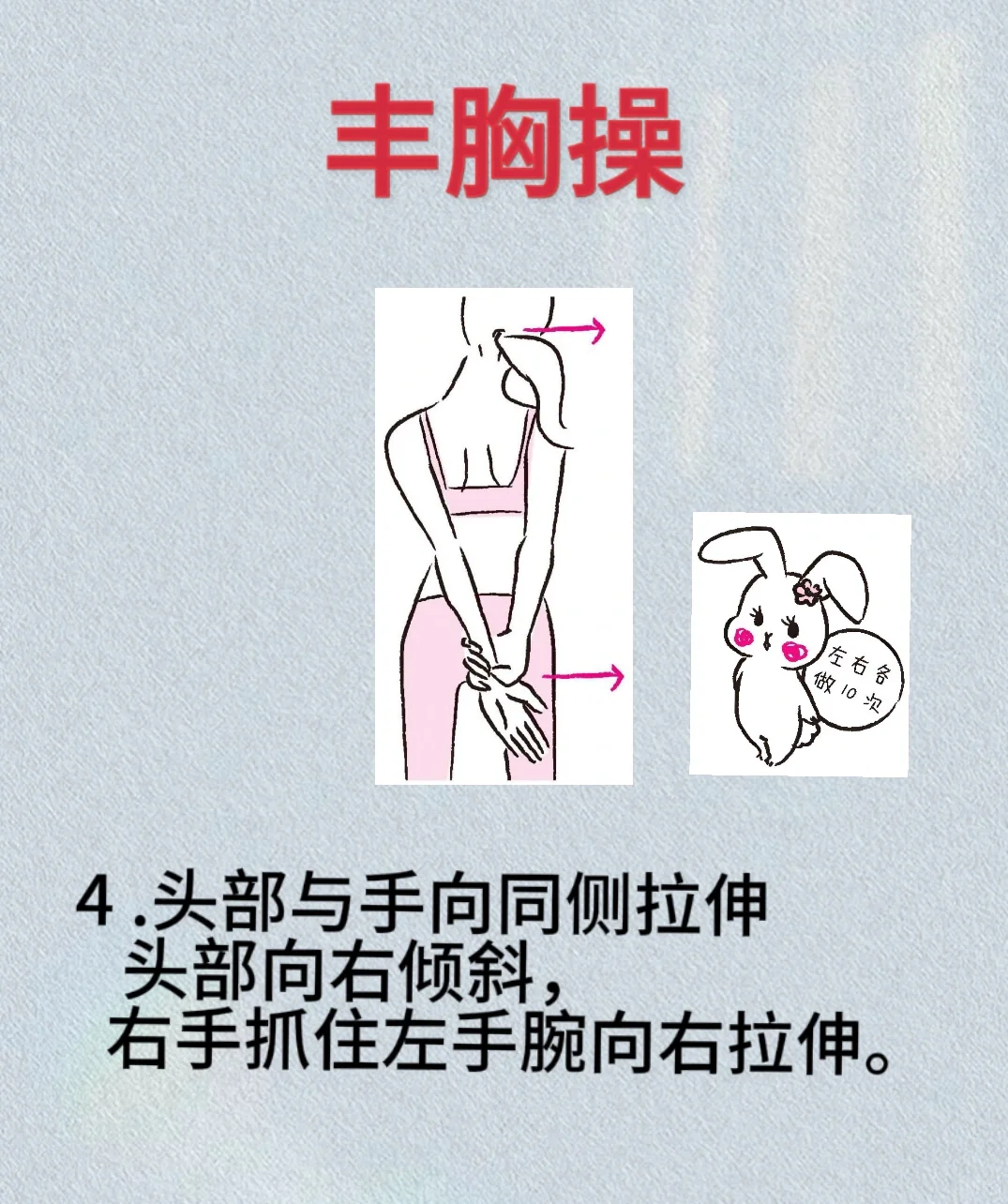 丰🐻操，塑造美🐻