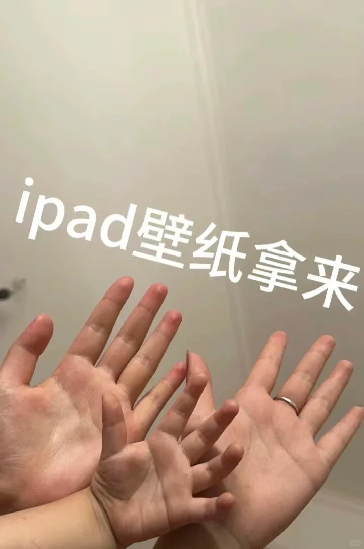 壁纸来来来！