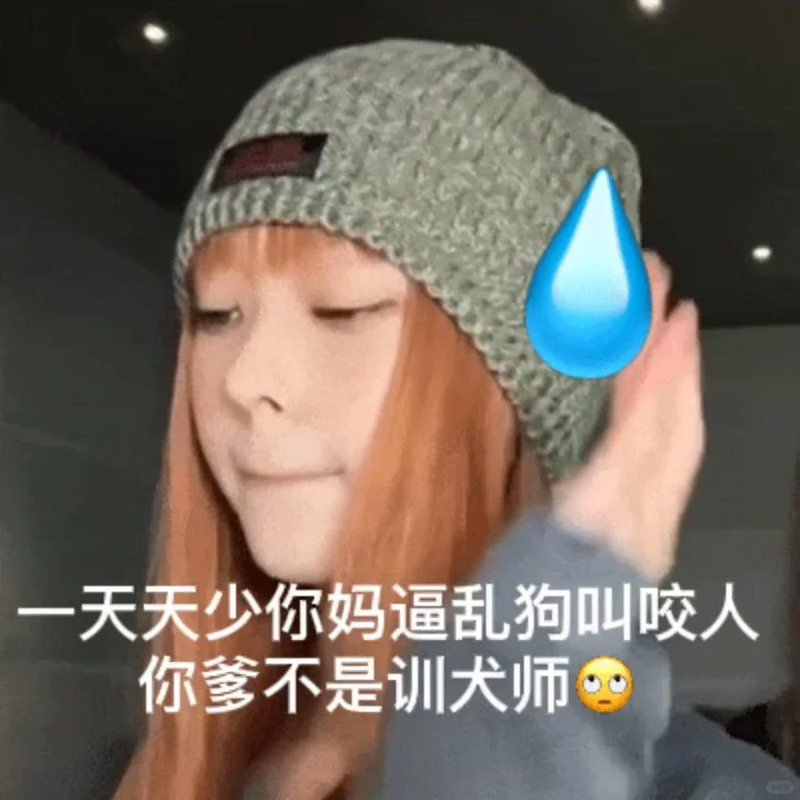 超级实用的表情包