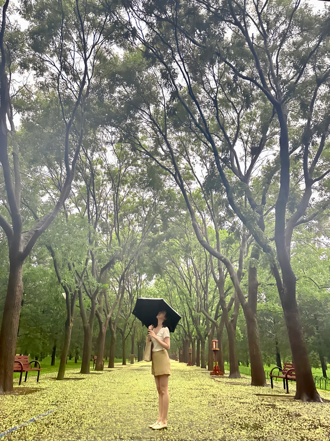 本人相亲自救 | 真诚第一！！！！