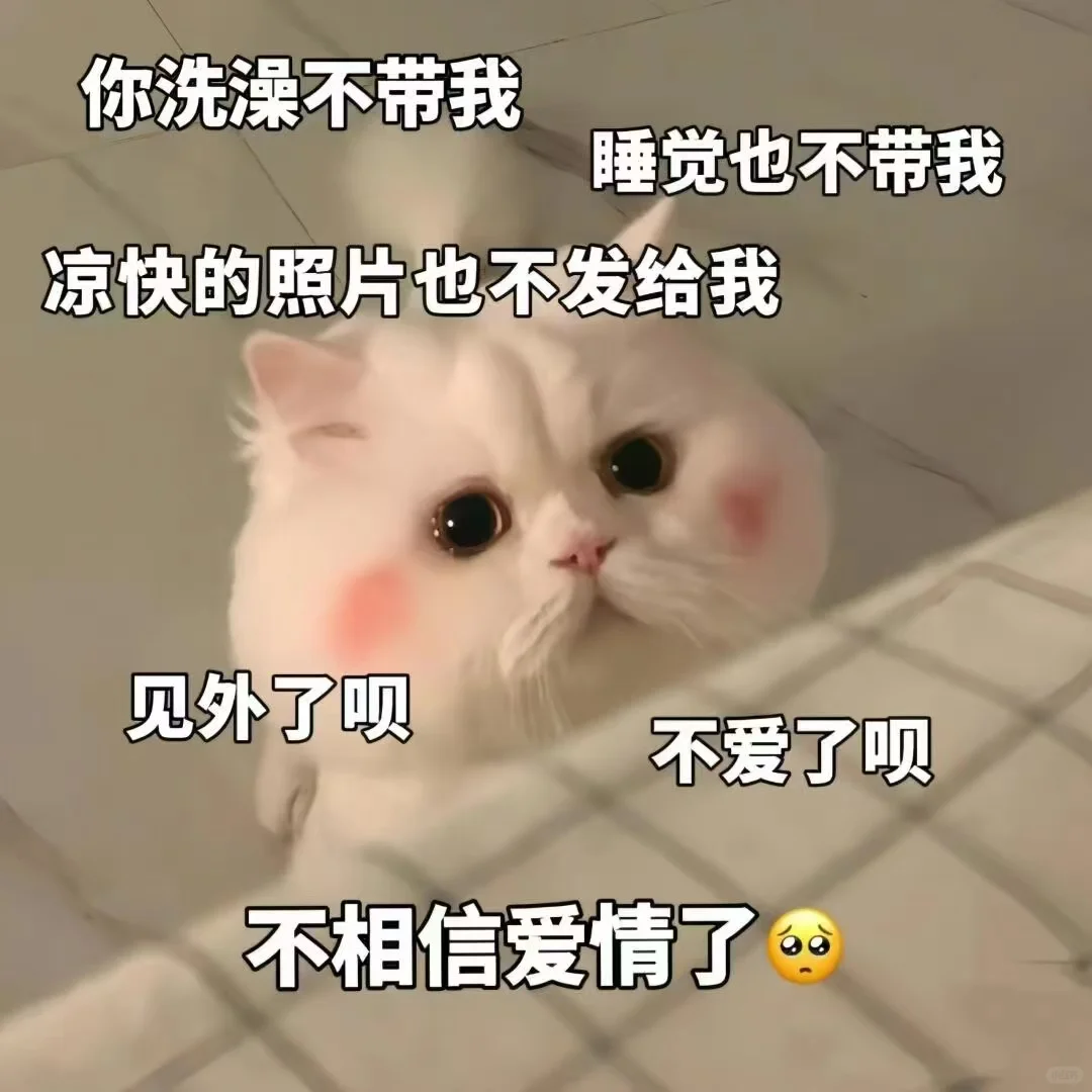 可可爱爱的表情包