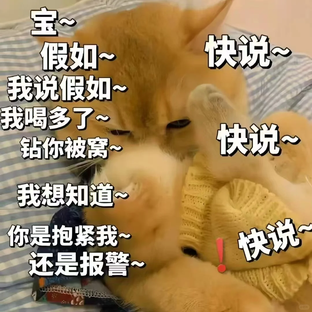 可可爱爱的表情包