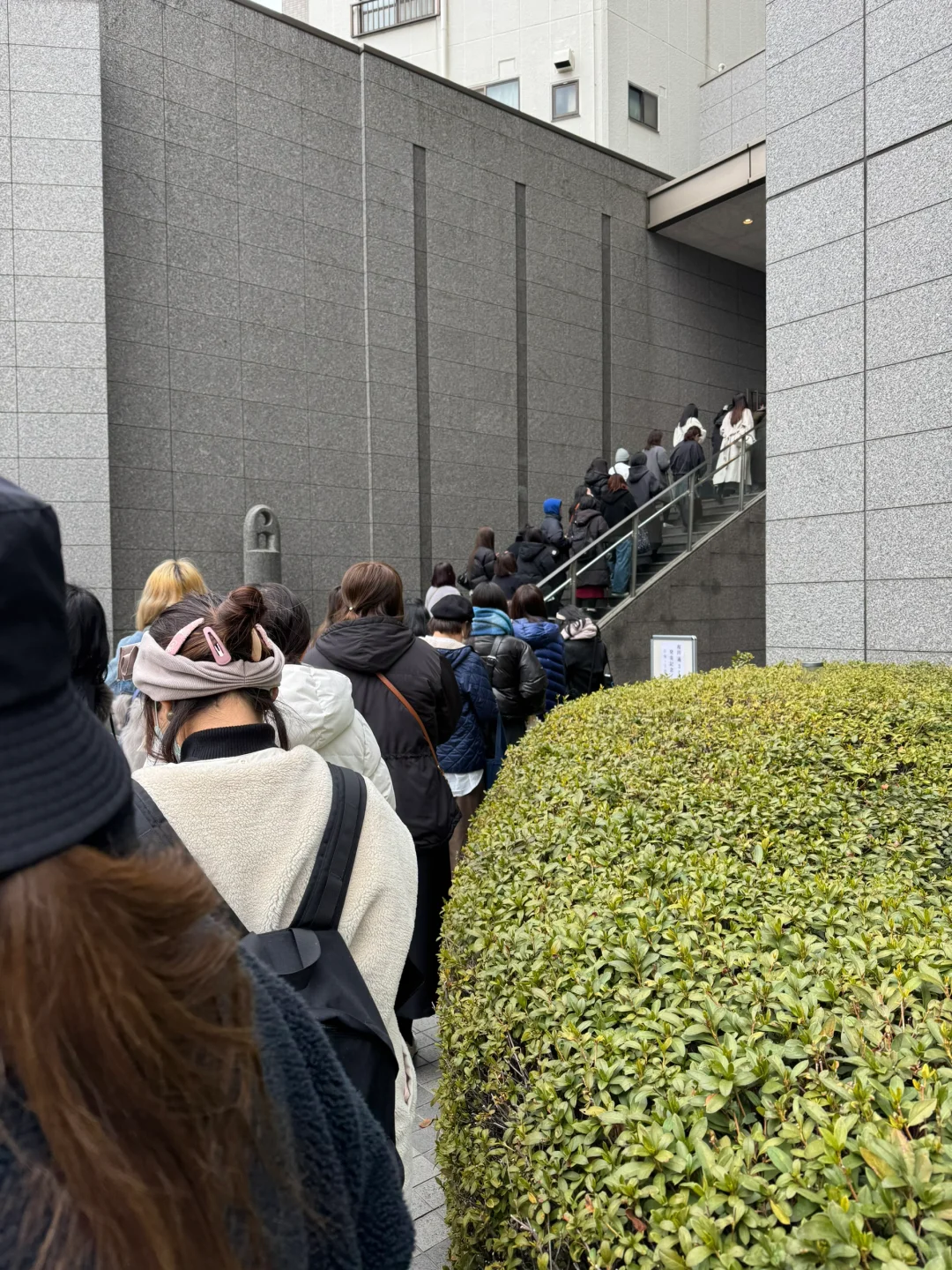 250308｜樱田通33岁写真集Talk Show