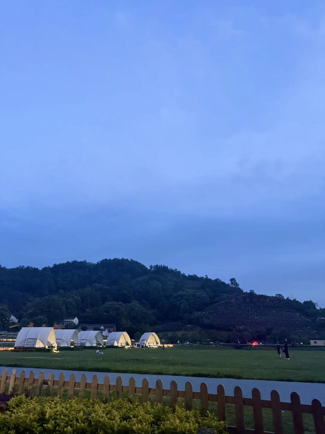 每次拍照我妹的情绪价值给100分