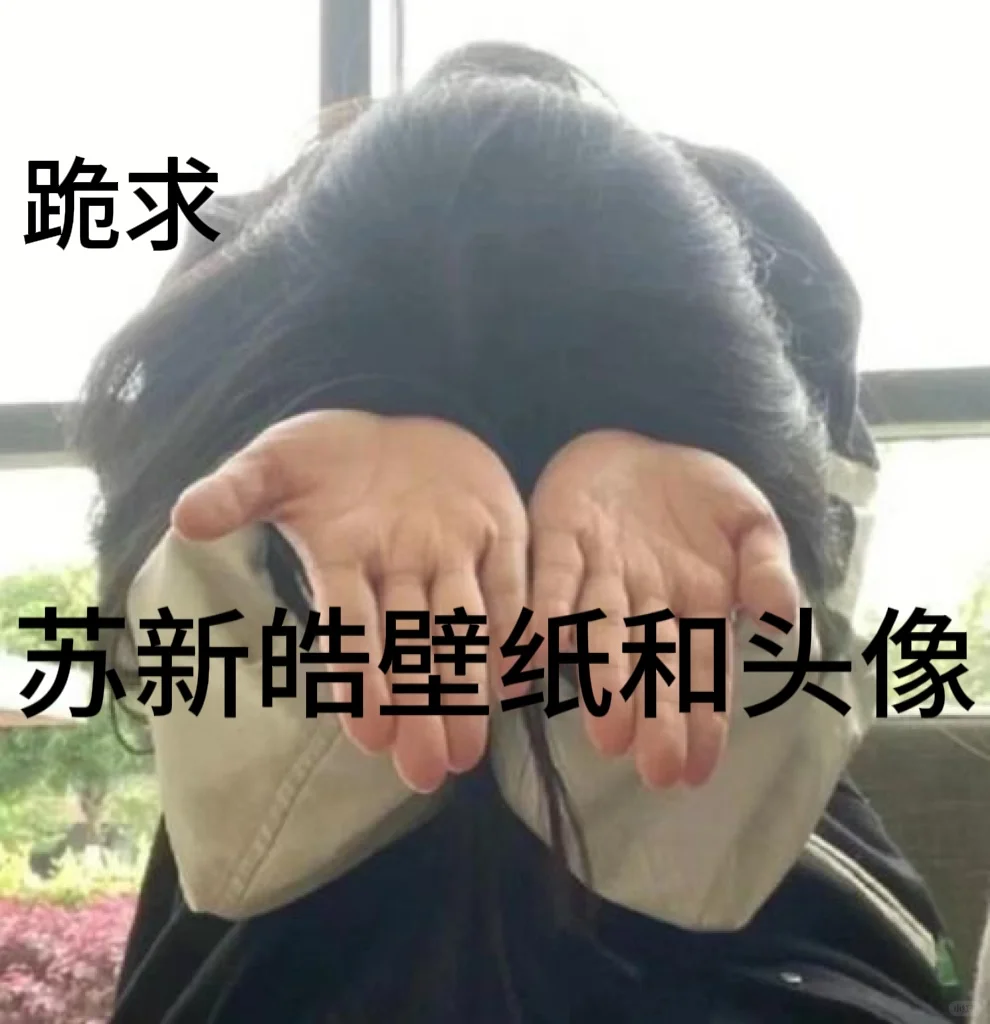 跪求苏新皓壁纸