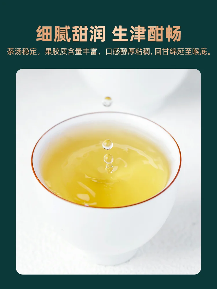 好茶推荐之老同志2024年览春白茶园