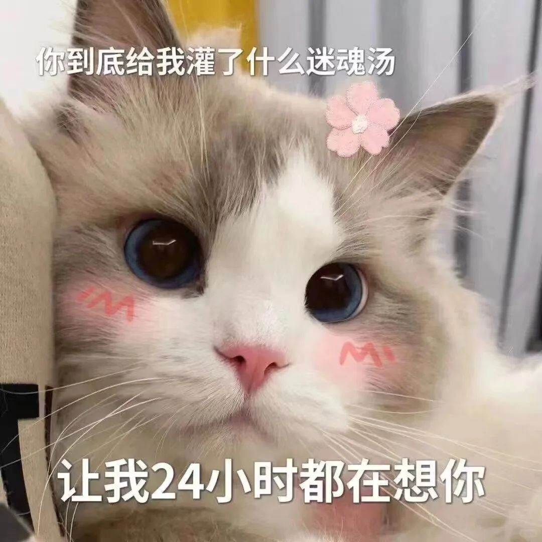 可可爱爱的表情包