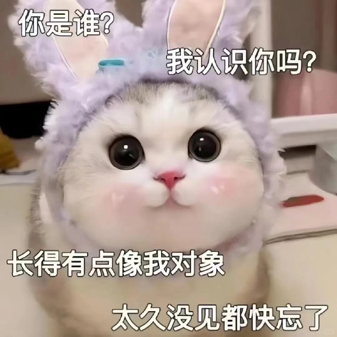 可可爱爱的表情包