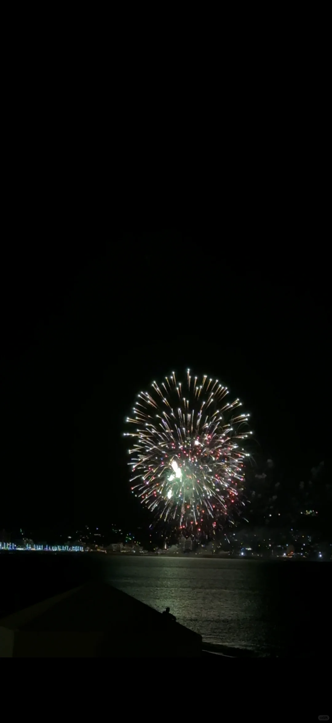 谁把夏天叫醒了🌺