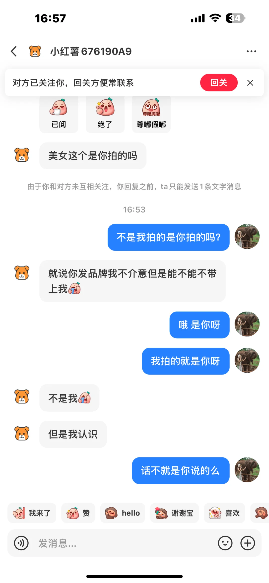 给西双版纳爱琴海🐶眼看人的店员