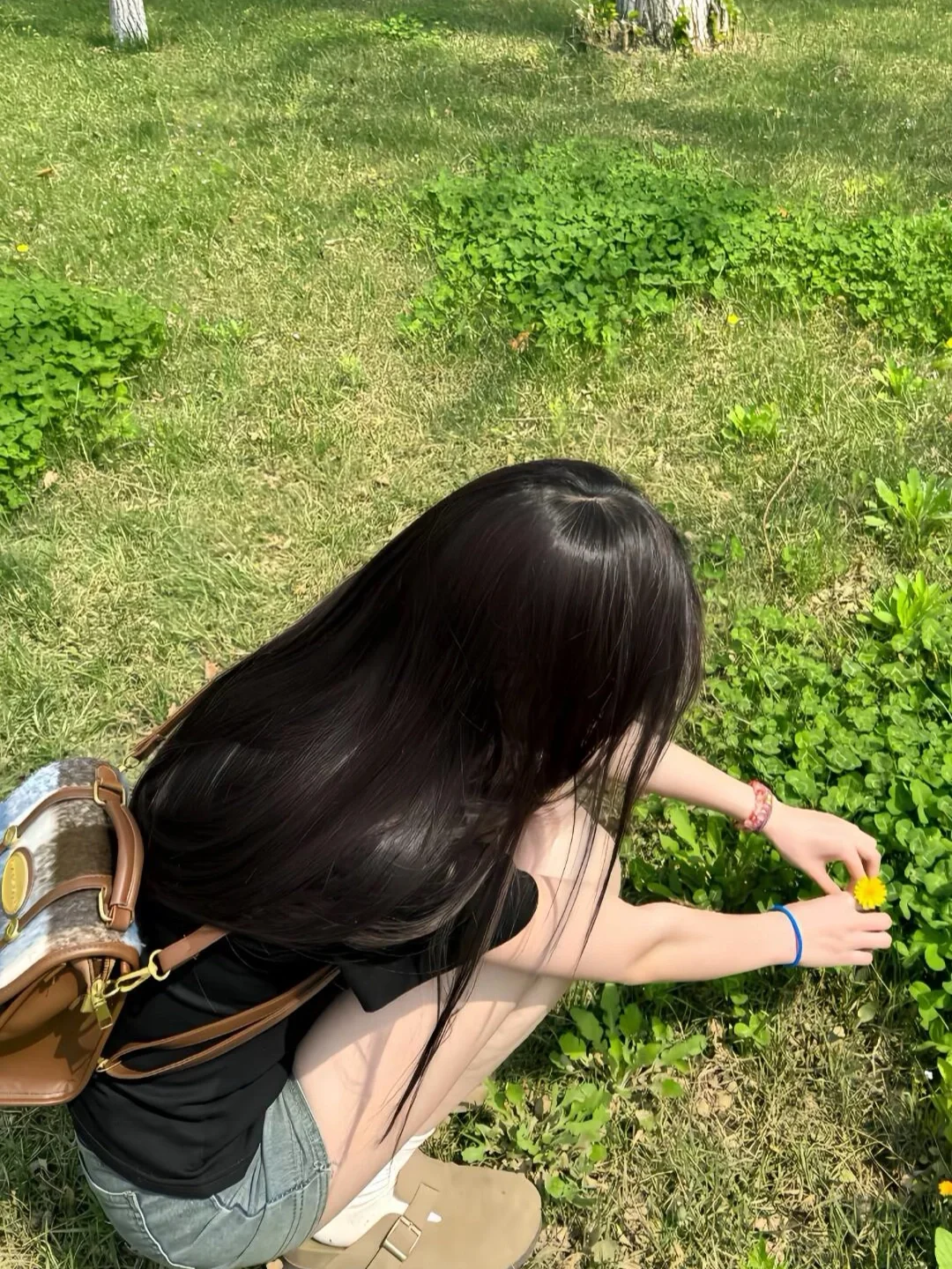 假期献给大草坪⛳️