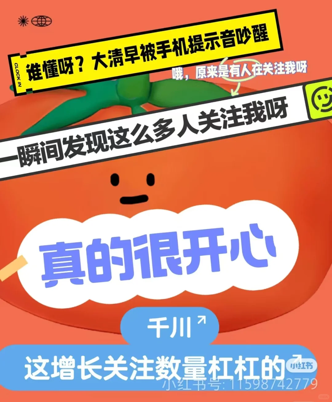 张分，关注