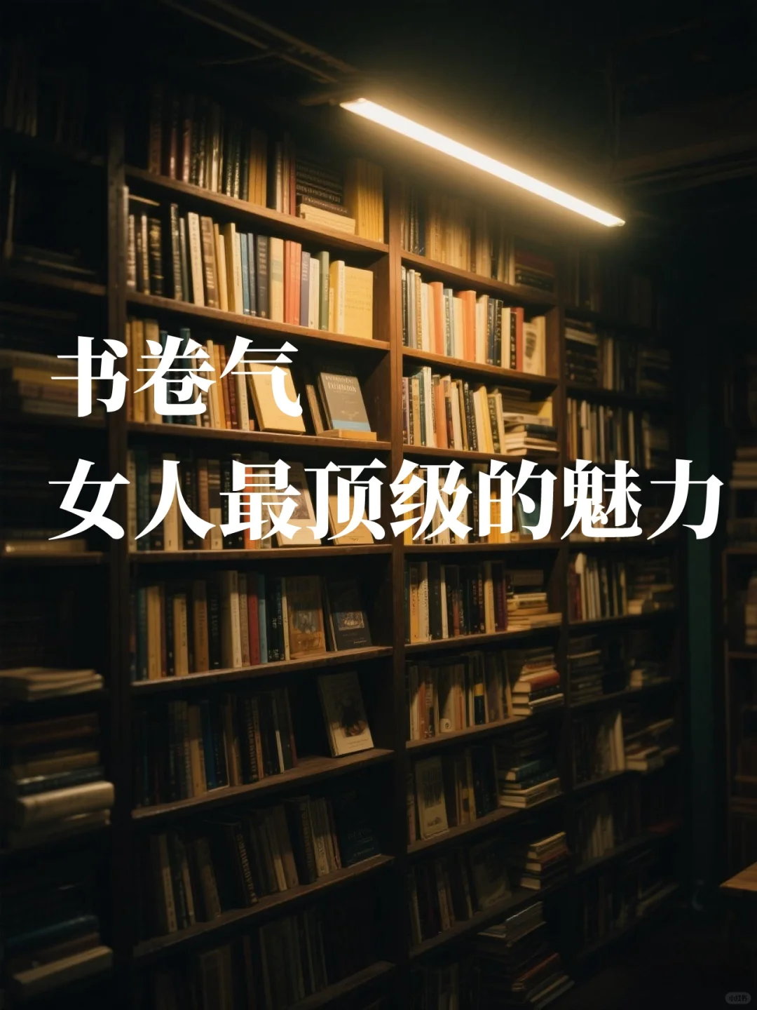 书卷气，是女生最顶级的魅力✨