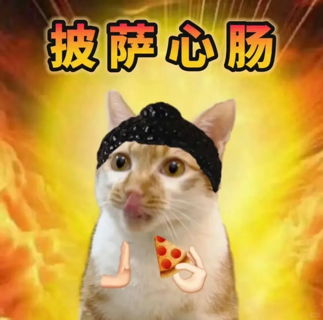 可爱猫咪🐈超有梗｜表情包