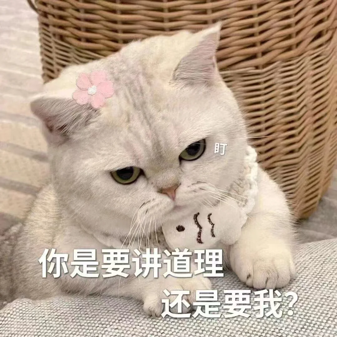 可可爱爱的表情包