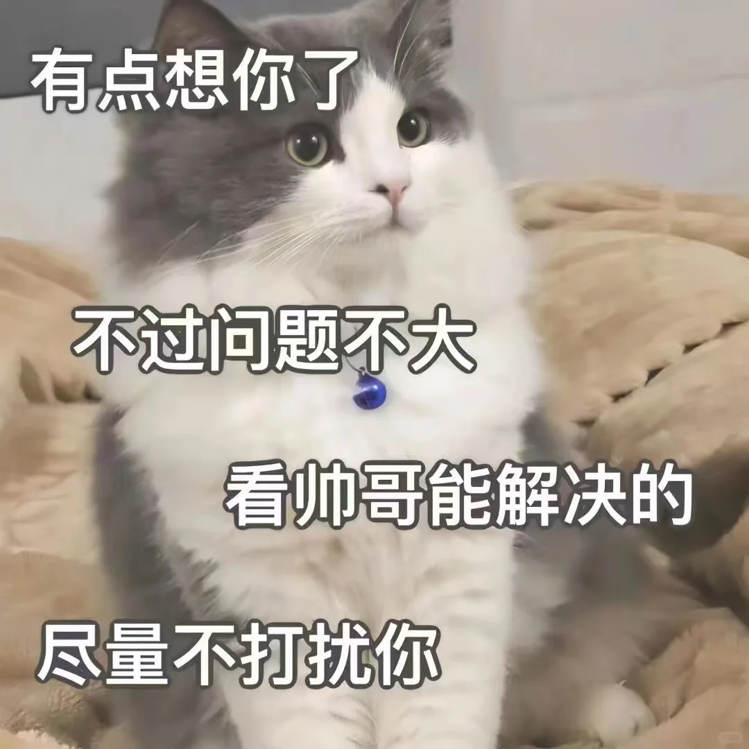 可可爱爱的表情包