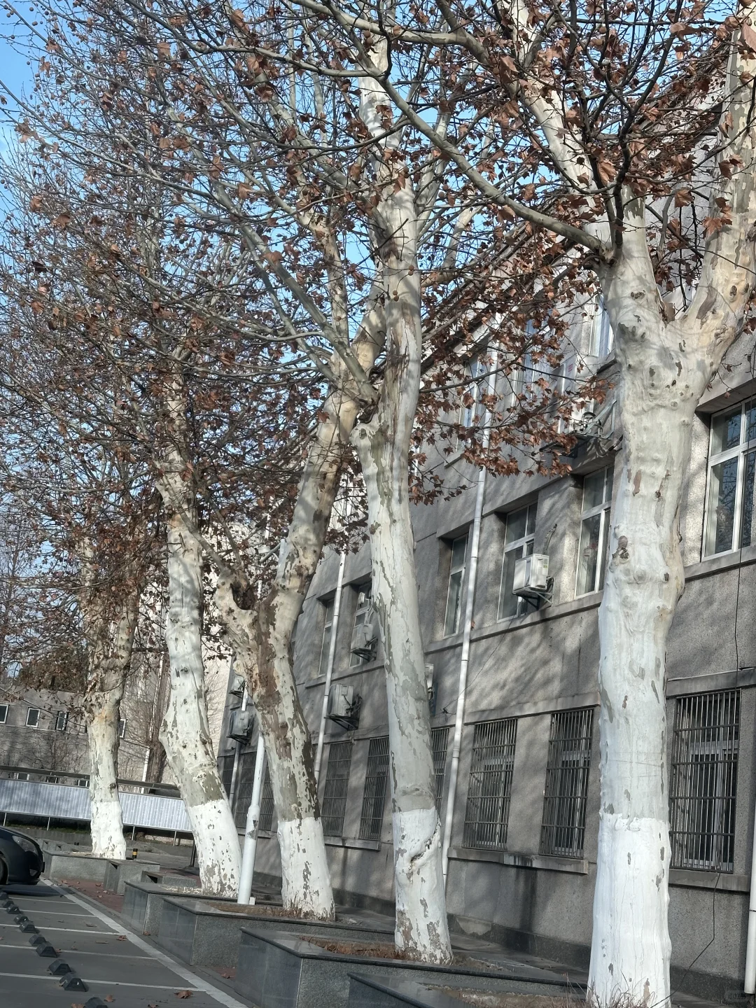 就是这个女的