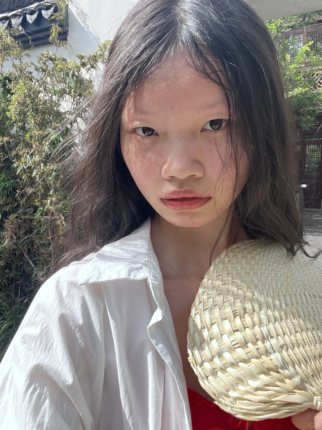 近期美照